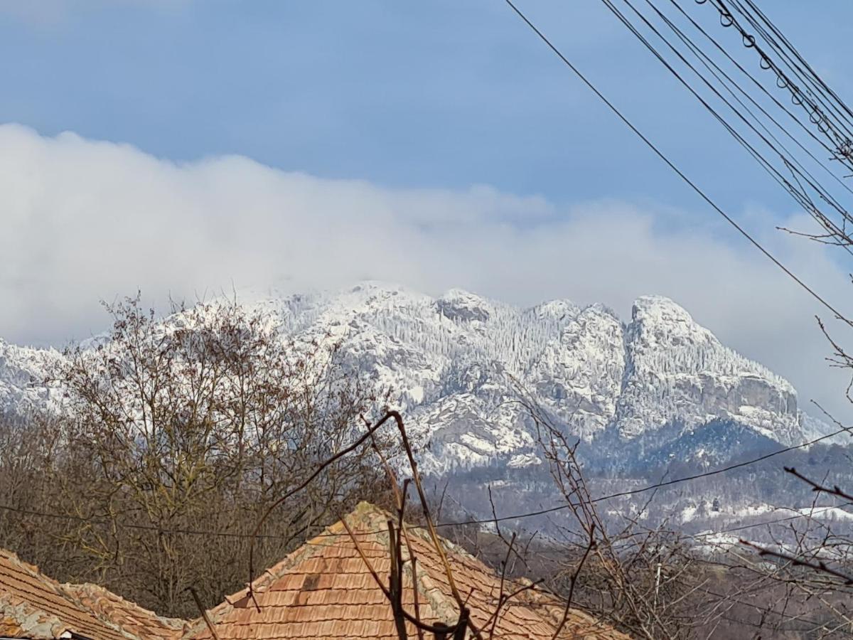 Călimăneşti Casa Hera מראה חיצוני תמונה