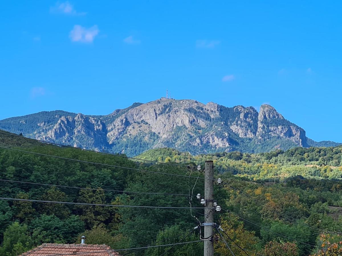 Călimăneşti Casa Hera מראה חיצוני תמונה