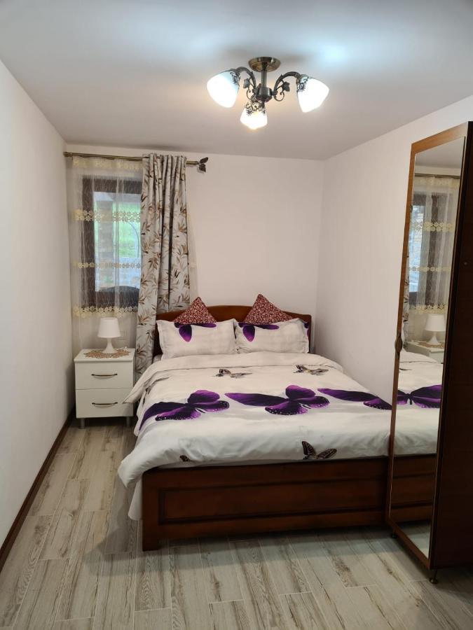 Călimăneşti Casa Hera מראה חיצוני תמונה