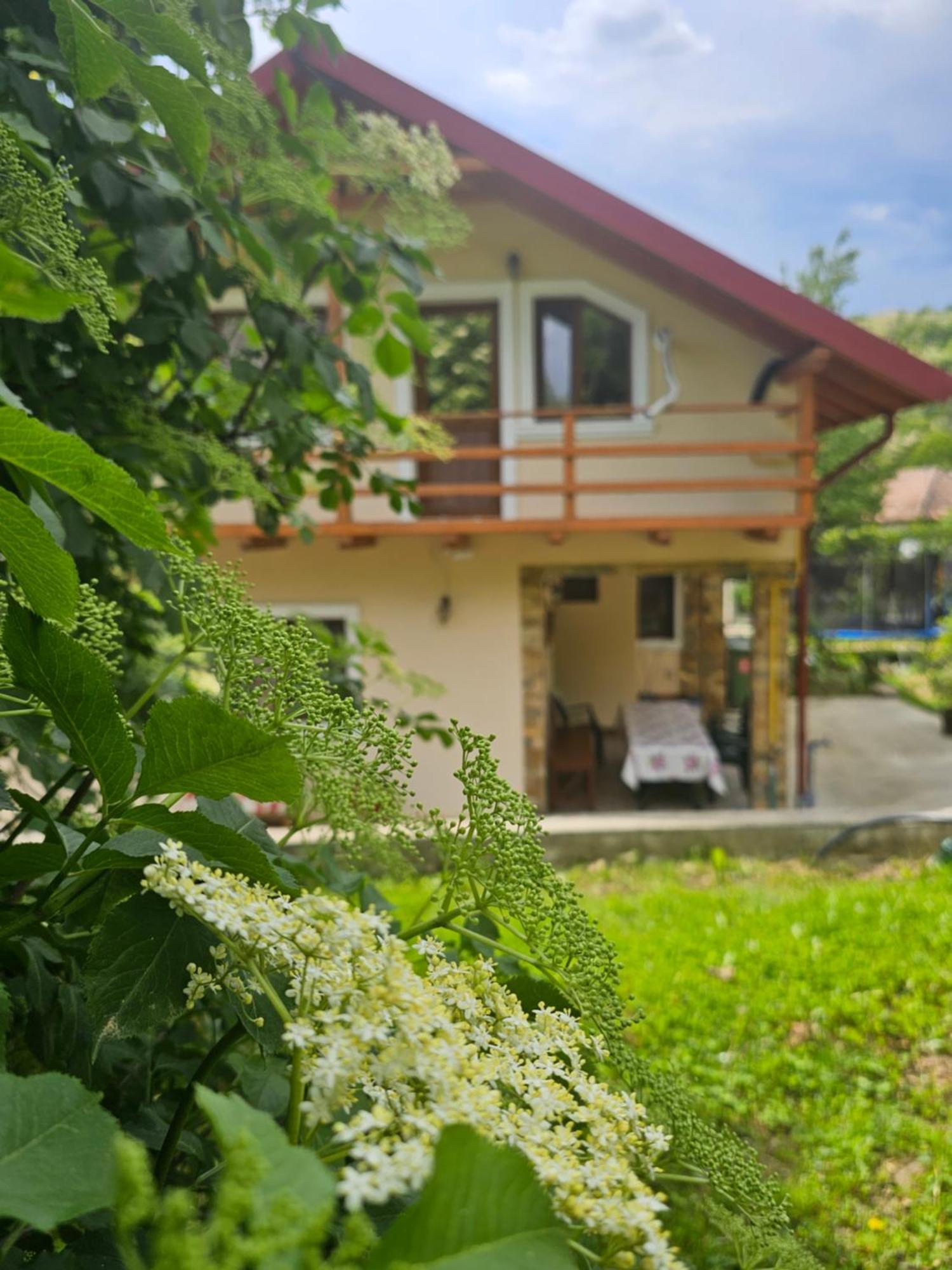 Călimăneşti Casa Hera מראה חיצוני תמונה